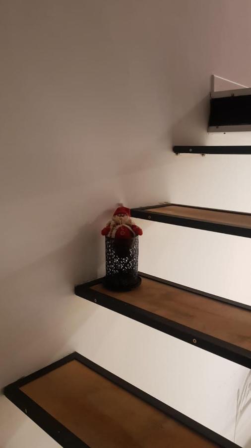 Coqueto Loft Palermo Hollywood Appartement Buenos Aires Buitenkant foto